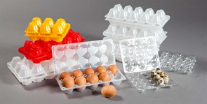        Контейнер для яиц 